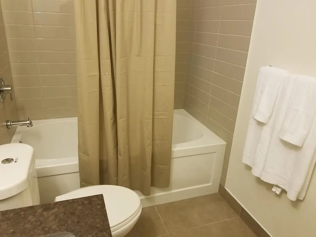 Furnished Apartments At Yonge & Eglinton By Canvas Toronto Canada
